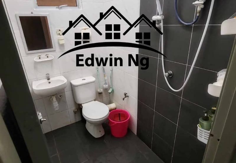 The Rise Collection 2