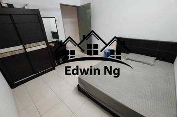 The Rise Collection 2