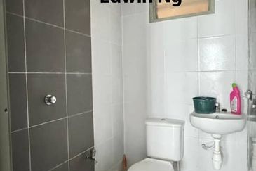 The Rise Collection 2