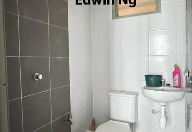 The Rise Collection 2