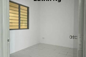 The Rise Collection 2