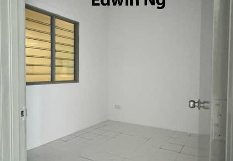 The Rise Collection 2