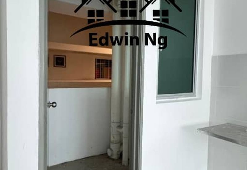 The Rise Collection 2