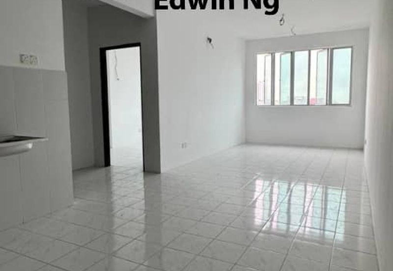 The Rise Collection 2