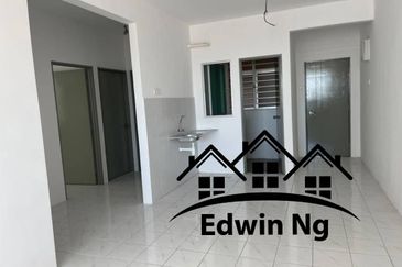 The Rise Collection 2