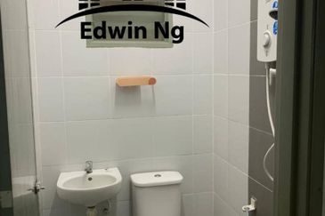 The Rise Collection 2