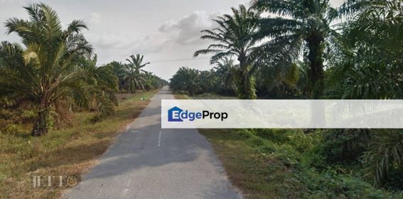 Jalan Raja Musa Kuala Selangor Agriculture Land, Selangor, Kuala Selangor
