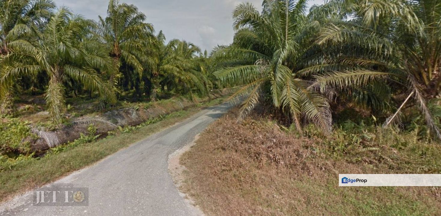 Jalan Raja Musa Kuala Selangor Agriculture Land, Selangor, Kuala Selangor