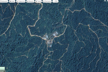 Kota Marudu Pitas Palm Estae Kelapa Sawit Sabah 