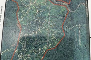 Kota Marudu Palm Estate  I Sawit 