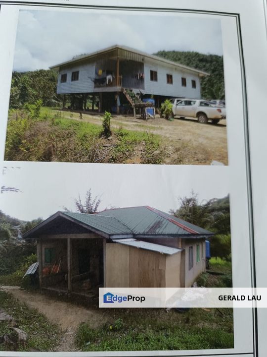 Kota Marudu Palm Estate  I Sawit , Sabah, Kota Marudu