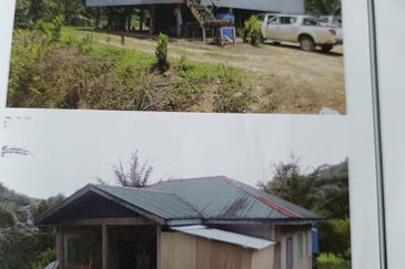 Kota Marudu Palm Estate  I Sawit 