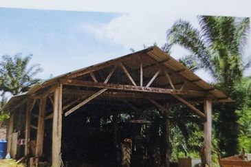 Kota Marudu Palm Estate  I Sawit 