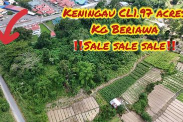 Keningau Kg Beriawa Land | CL Land | Slope Hill and Flat Land | Sabah For Sale and For Rent