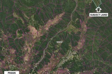 Terraced Land Cultivated With Rubber Trees | Tenghilan | Tuaran | Sabah For Sale