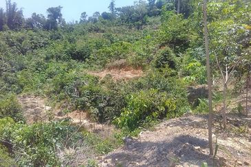 Terraced Land Cultivated With Rubber Trees | Tenghilan | Tuaran | Sabah For Sale