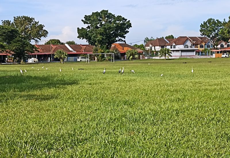 Eastfield @ Yarra Park