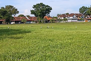 Eastfield @ Yarra Park