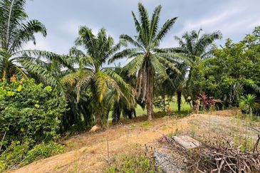 KULIM GOLF & COUNTRY RESORT