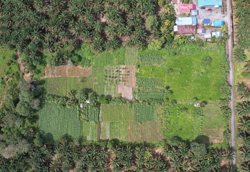 Kulai Kampung Lama Ayer Manis 5.36 Ekar Residential Land For Sale 4.4m