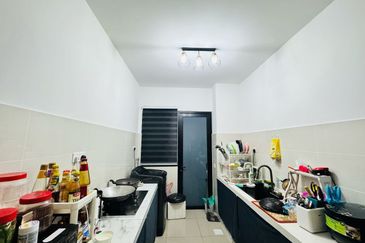 Tate Dalton @ Eco Botanic 2