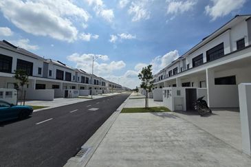 Tate Dalton @ Eco Botanic 2