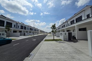 Tate Dalton @ Eco Botanic 2