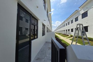 Tate Dalton @ Eco Botanic 2