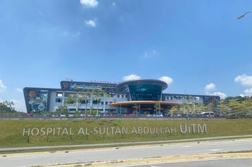 Iris @ Bandar Hillpark