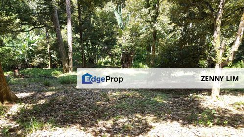 RM280K Per Acre! 8.5 Acres, 100% Black Thorn, Freehold! Raub Durian Orchard for Sale, Pahang, Raub