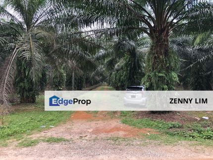 RM800k Per Acre! 5.03 Acres, Freehold! Kuala Selangor / Jeram Agricultural Land for Sale, Selangor, Jeram