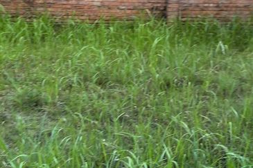 The Straits View Residences