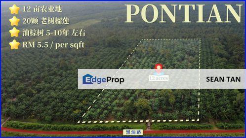 Pontian 12 Acres Agri Land, Johor, Pontian
