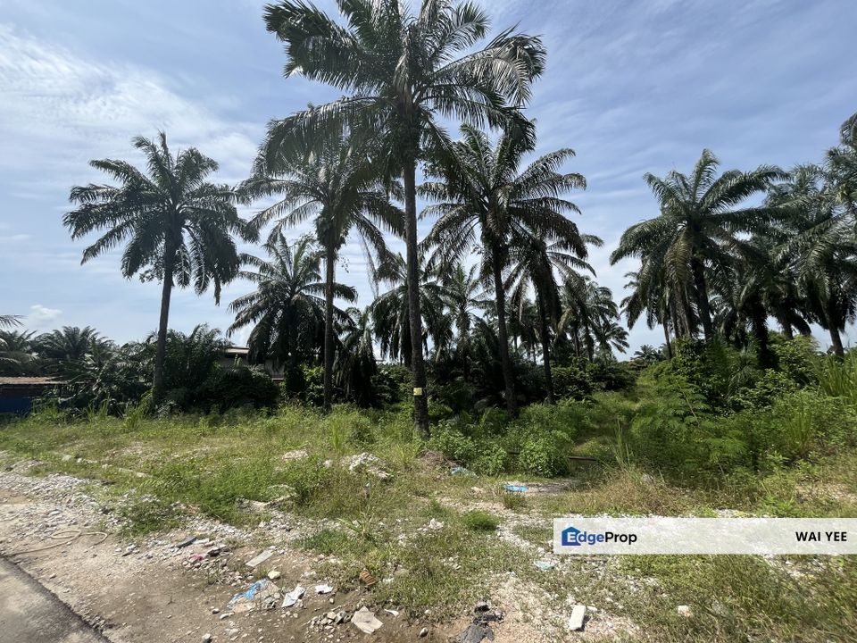 Industrial Land For Sale @ Ijok, Selangor, Kuala Selangor
