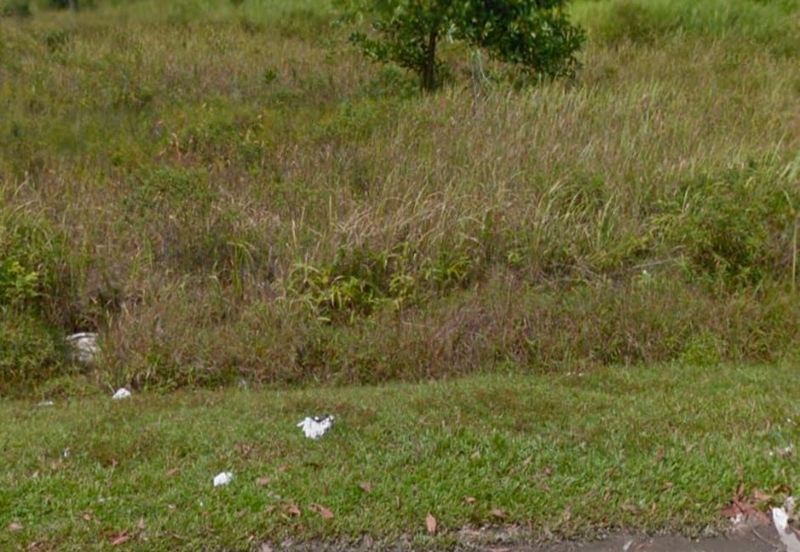 Batang Kali Industrial Land 