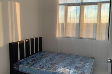 IMPERIO PROFESIONAL SUITE