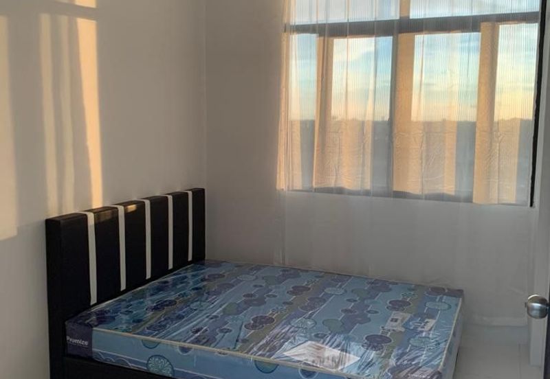 IMPERIO PROFESIONAL SUITE