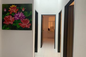 IMPERIO PROFESIONAL SUITE