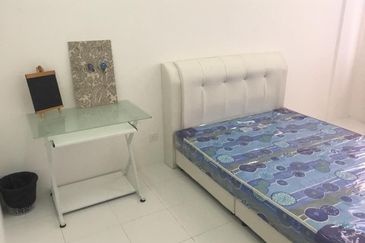 IMPERIO PROFESIONAL SUITE