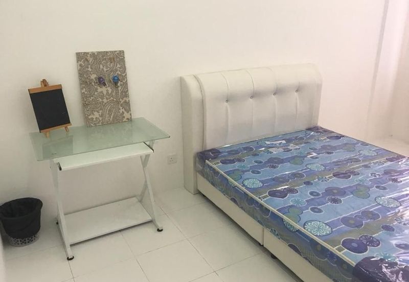 IMPERIO PROFESIONAL SUITE