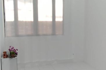 IMPERIO PROFESIONAL SUITE