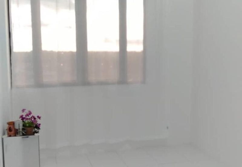 IMPERIO PROFESIONAL SUITE