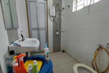 Ayu Puri, Alam Nusantara