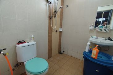 Ayu Puri, Alam Nusantara