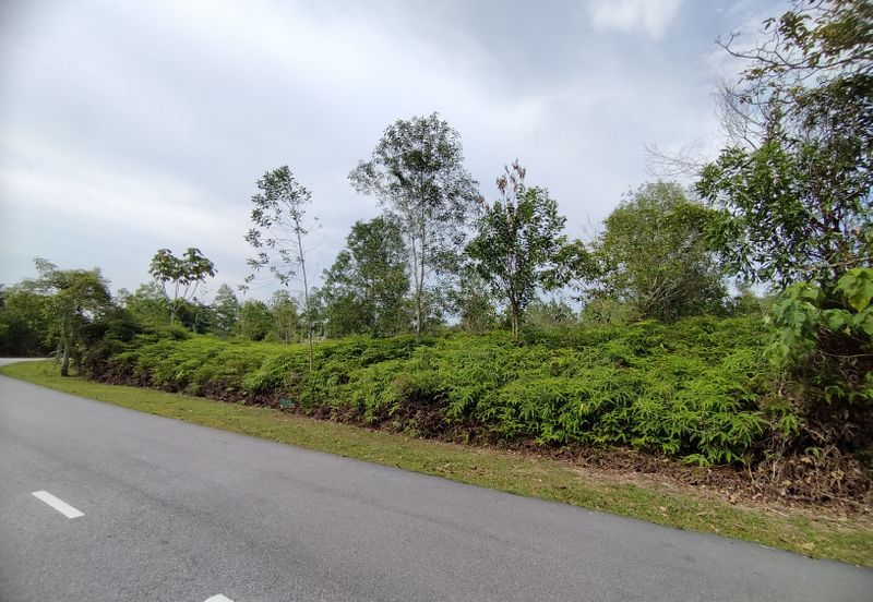 College Heights Garden Resort