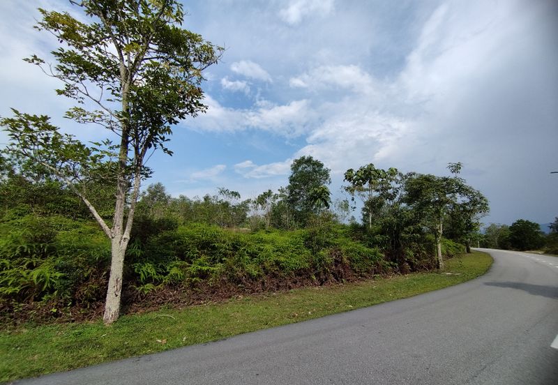 College Heights Garden Resort