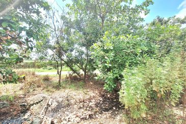 [Jalan Kebun] Single Storey Semi-D Taman Universiti @ Seksyen 30 Shah Alam