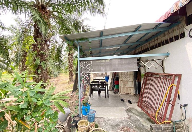 [Renovated] Single Storey Terrace Kampung Tok Muda @ Kapar
