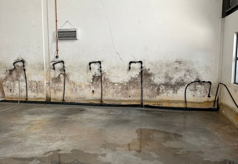 3 Storey Semi-D Factory @ Semenyih