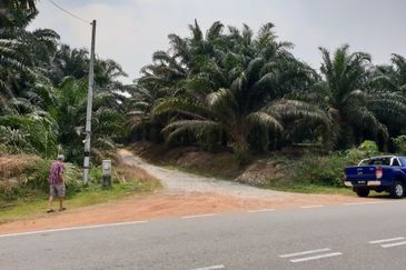 Kota Tinggi